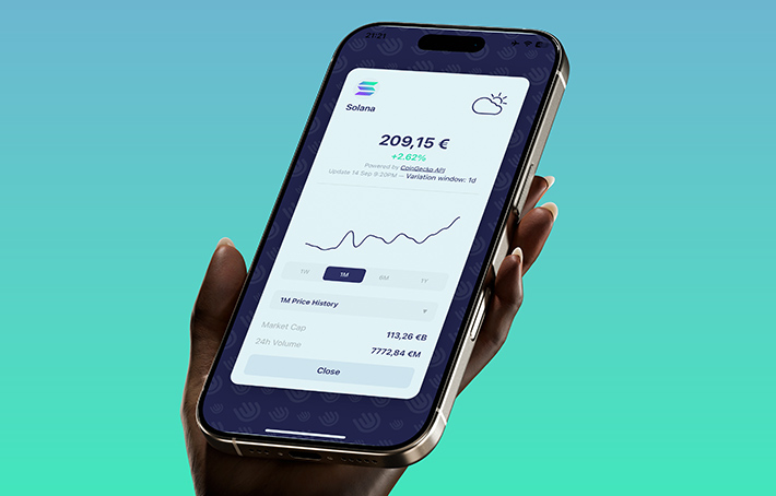 Coin Meteor - Portfolio Details